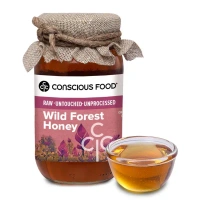 Conscious Food Wild Forest Honey (500G)