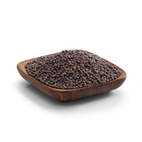 Conscious Food Mustard Seeds / Rai (100G)