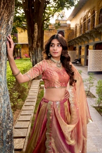Delicate Embroidery Silk Lehnga Choli