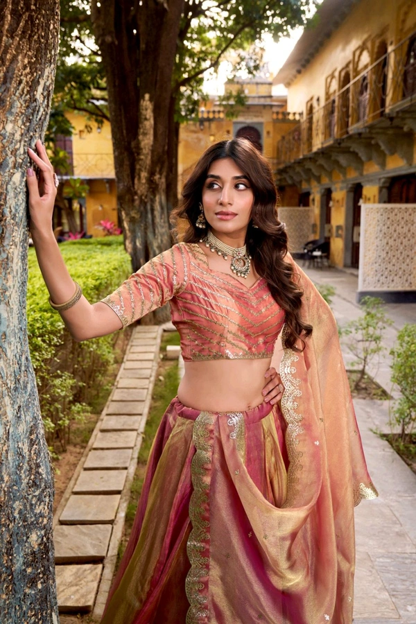 Delicate Embroidery Silk Lehnga Choli