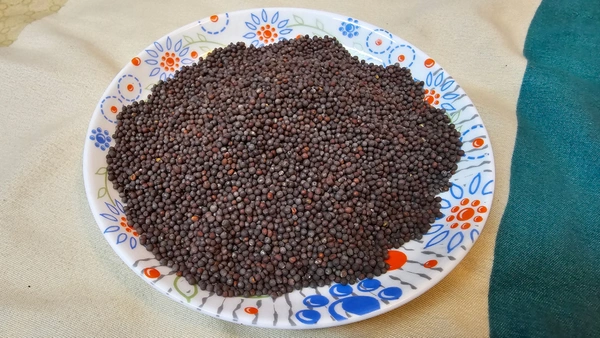 Kadugu Mustard Seeds 100g - Big