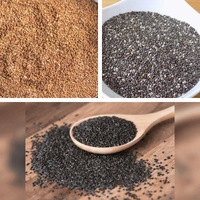 Healthy Seeds Combo Each 100g | Jasmil Spices