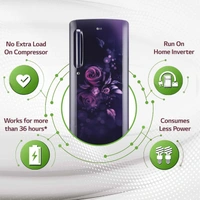 LG 185 L 5 Star Inverter Direct-Cool Single Door Refrigerator (GL-D201ABEU, Blue Euphoria, Base stand with drawer)