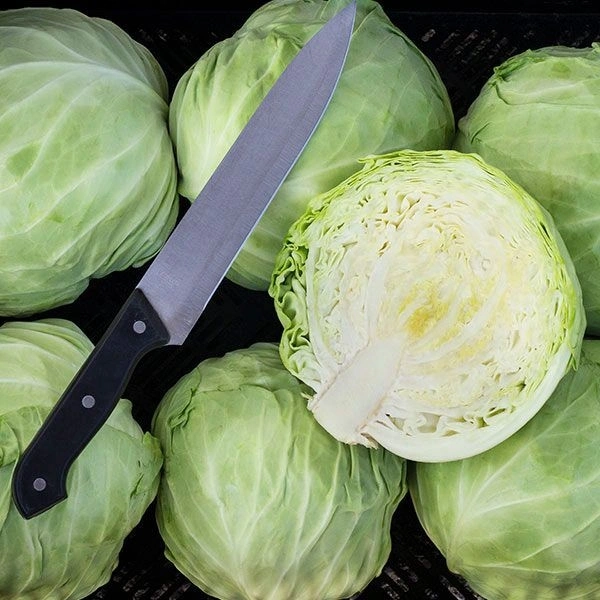 Cabbage   - 5Kg