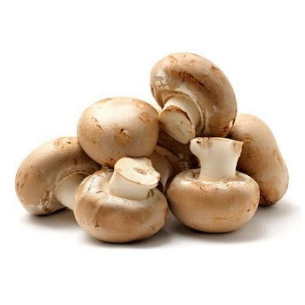 Mosroom Button  - 10kg