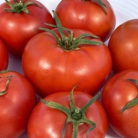 Tomato Local Smal Mix  - Minimum - 5Kg