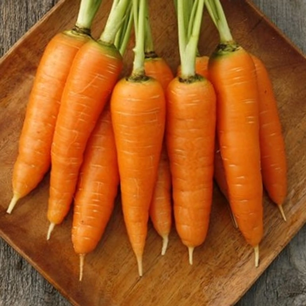 Carrot Local 