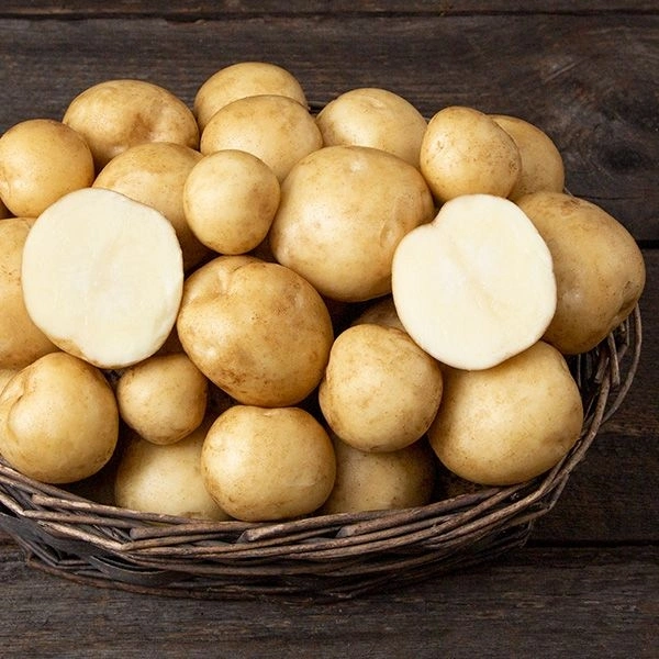 Potato Unsorted