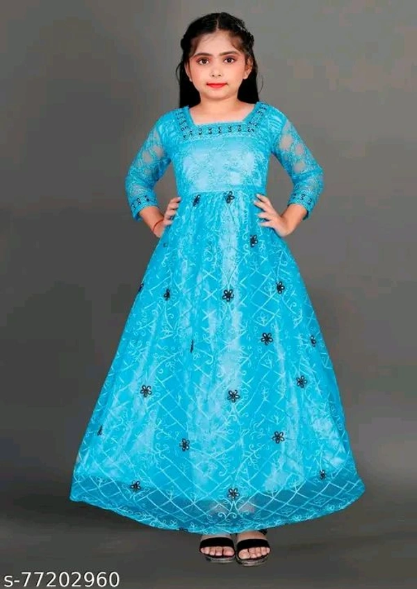 Apnisha Girls Net Embroidered Gown Dress (Sky)-New