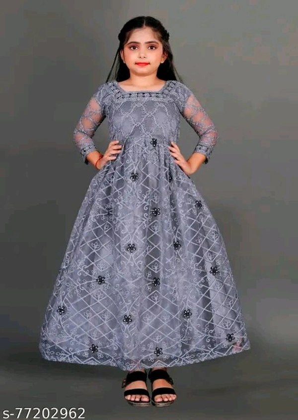 Apnisha Girls Net Embroidered Gown Dress (Grey)-New