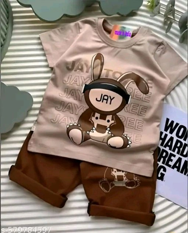 Princess Stylish Boys Top & Bottom Sets