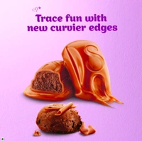 Cadbury Dairy Milk Silk Mousse Milk Chocolate Bar - 48.5g