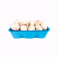 Fresh Button Mushroom (Alimbi) - 200gm