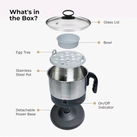 Multipurpose Electric Kettle