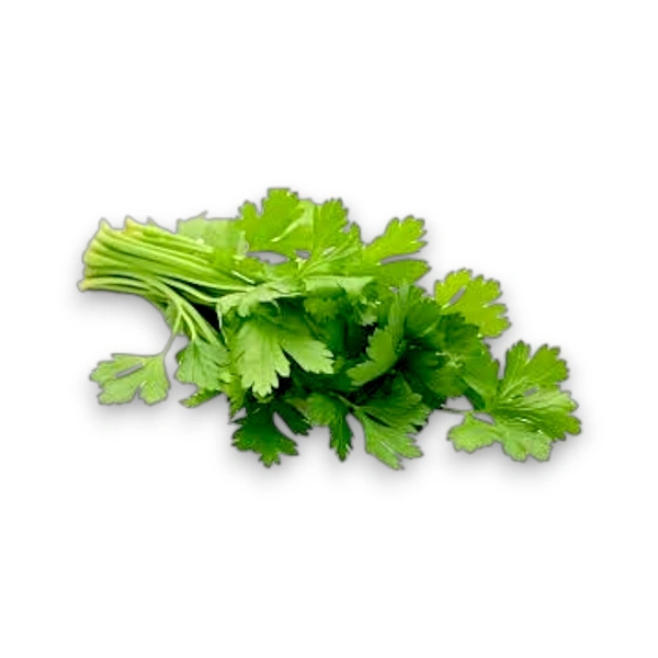 Coriander Bunch (Dhaniya Patta) - 100 g