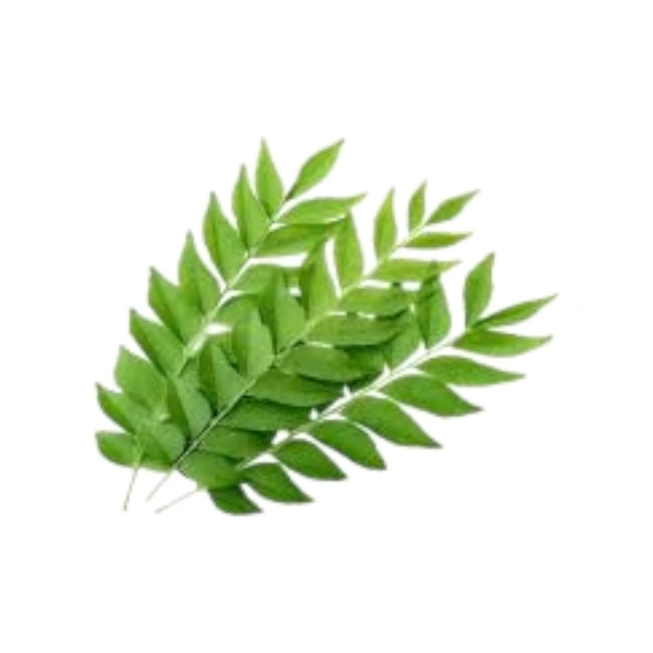 Curry Leaves (Kadi Patta) - 100 g