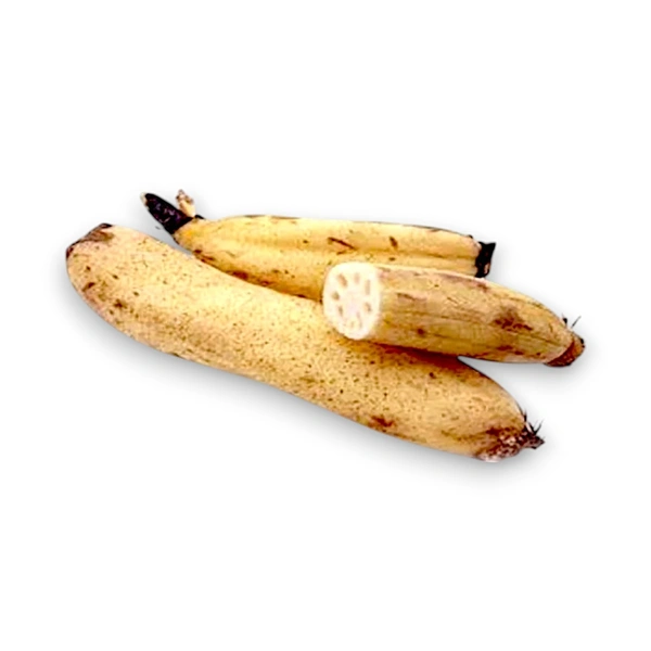 Lotus Stem (Kamal Kakdi) - 250 g