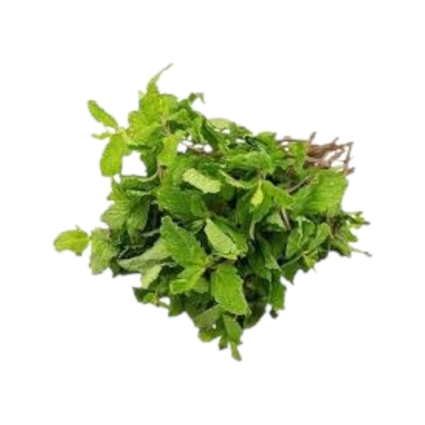 Mint Leaves (Pudina) - 100 g