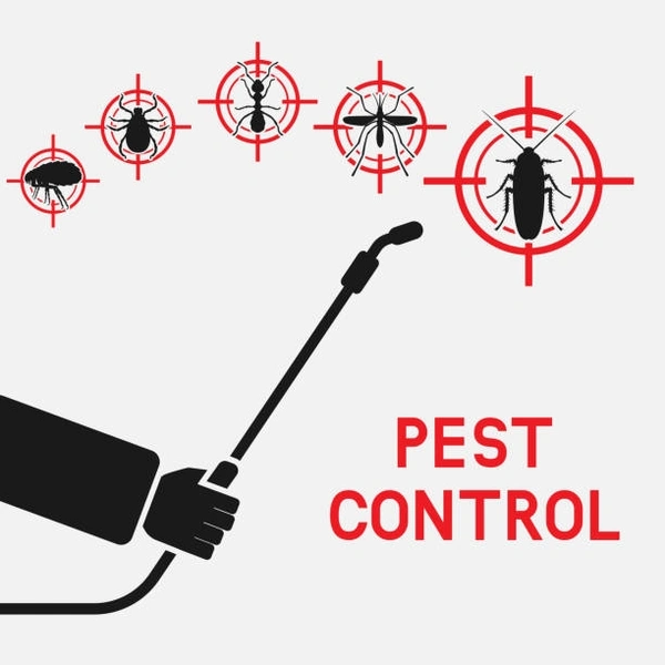 Bathroom & Kitchen Pest Control - Starts at
