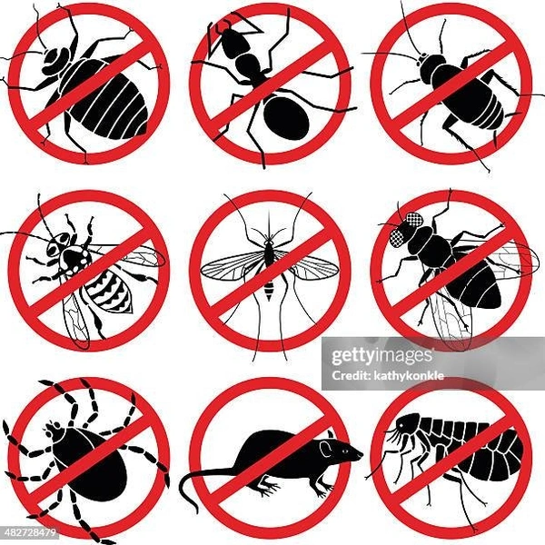 4 BHK Full Home Pest Control