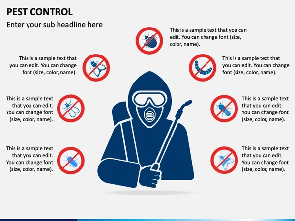 Pest Control 1BHK 1 Year Subscription