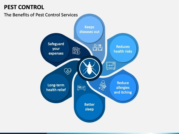Pest Control 3BHK 1 Year Subscription