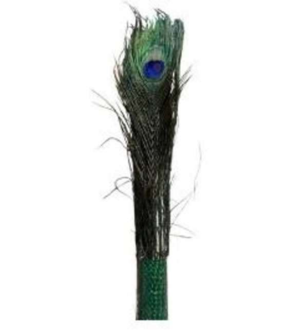 Mor Jhadu - Mor Jhadu