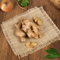 Ada / Ginger 