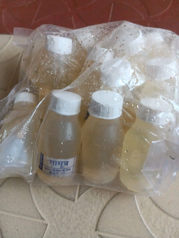 Go Mutat ( गोमूत्र) Mrp 10