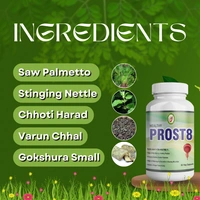 Only Ayurved's Prost 8 Prostate fit Cap