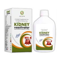 Only Ayurved's Kidney Reactivator - 500 ml