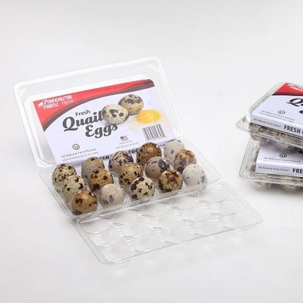 Quai Table Eggs (24 Piecs) - 24, piece