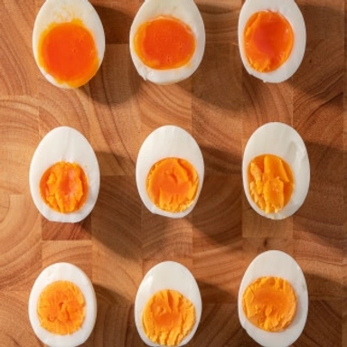 Egg
