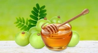 Honey Amla - தேன் நெல்லி - 1 Kg