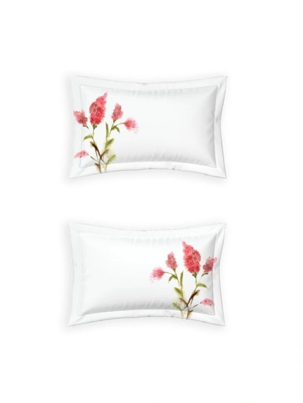 Ddecor King Size Cotton Bedsheets - 2.74 M X 2.74 M