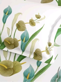 Ddecor King Size Cotton Bedsheets - 2.74 M X 2.74 M