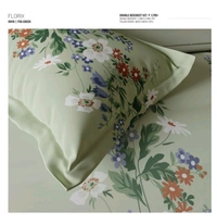 Ddecor Double Bed Cotton Bedsheets - 2.24 M X 2.74 M