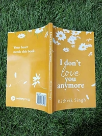 I Don’t Love You Anymore by Rithvik Singh
