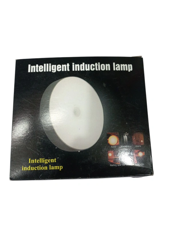 LED intelligent night light