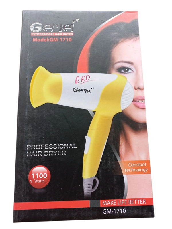 Gemei Hair Dryer (1710)