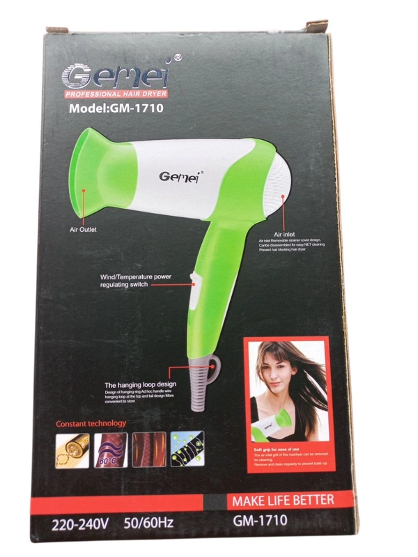 Gemei Hair Dryer (1710)