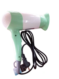 Gemei Hair Dryer (1710)