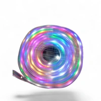 Mz 10 Meter Running Rope Light