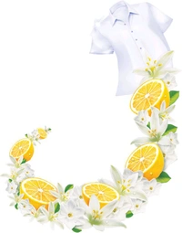 WHEEL - डिटर्जेंट पाउडर, 1Kg