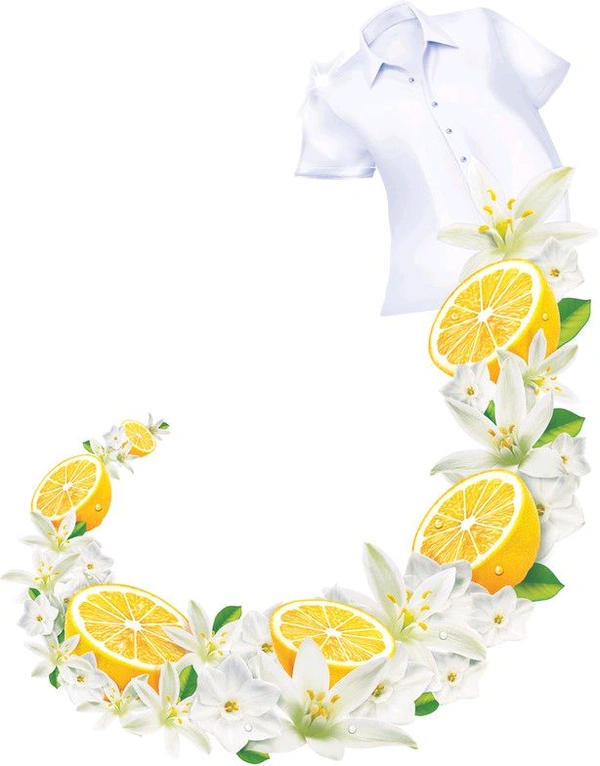 WHEEL - डिटर्जेंट पाउडर, 500g