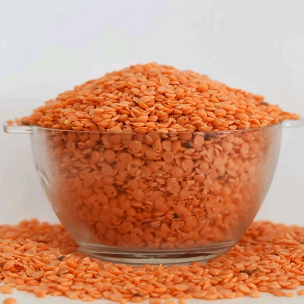 मसूर दाल Masur Dal 