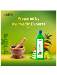 Trikara Aloe Vera,Amla,Seabuckthorn Ras,1l