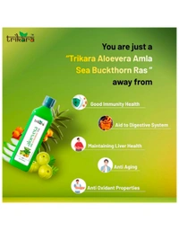 Trikara Aloe Vera,Amla,Seabuckthorn Ras,1l