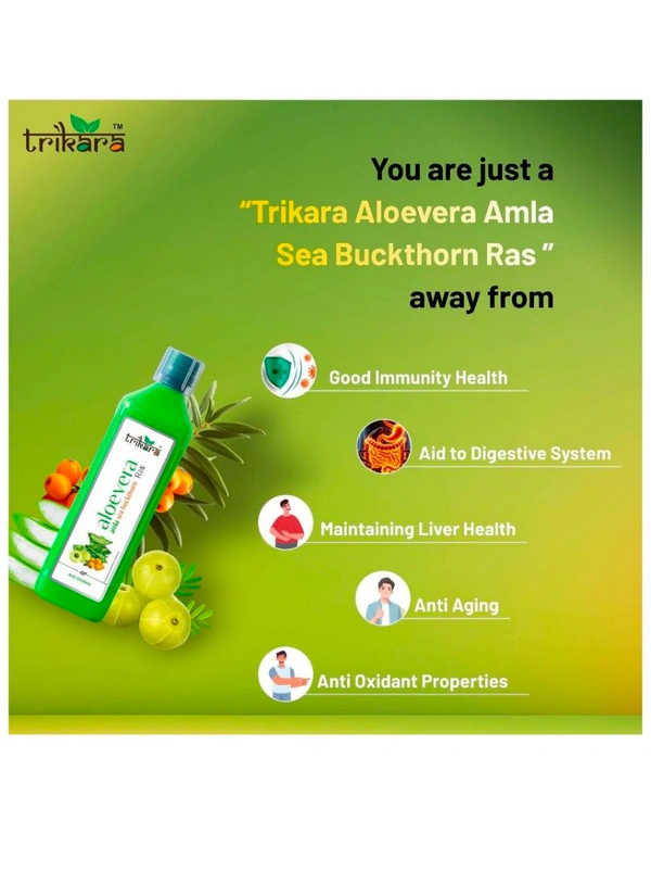 Trikara Aloe Vera,Amla,Seabuckthorn Ras,1l