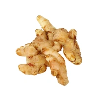 (अदरक)Organically Grown Ginger - 100 g (Adrak)